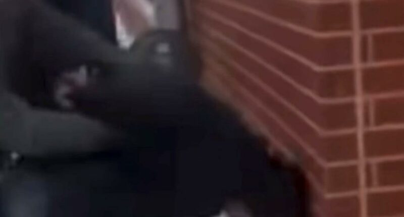 LI Dems erupt after ICE agent uses handcuffed manâs head as 'battering ram' against brick wall